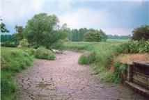 Terry Marsh, CEH © 1991, a dry groundwater-fed river in Southern England